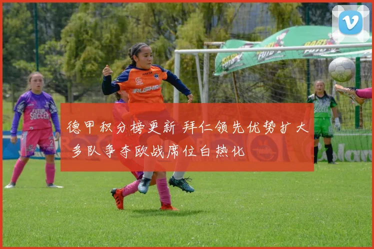 德甲积分榜更新 拜仁领先优势扩大 多队争夺欧战席位白热化