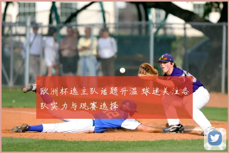 欧洲杯选主队话题升温 球迷关注各队实力与观赛选择