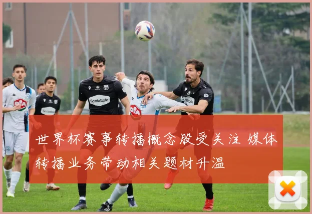 世界杯赛事转播概念股受关注 媒体转播业务带动相关题材升温