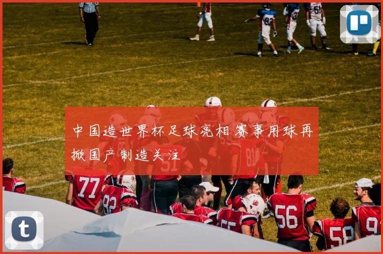 中国造世界杯足球亮相 赛事用球再掀国产制造关注