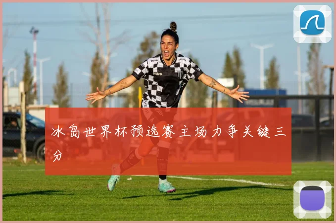 冰岛世界杯预选赛主场力争关键三分